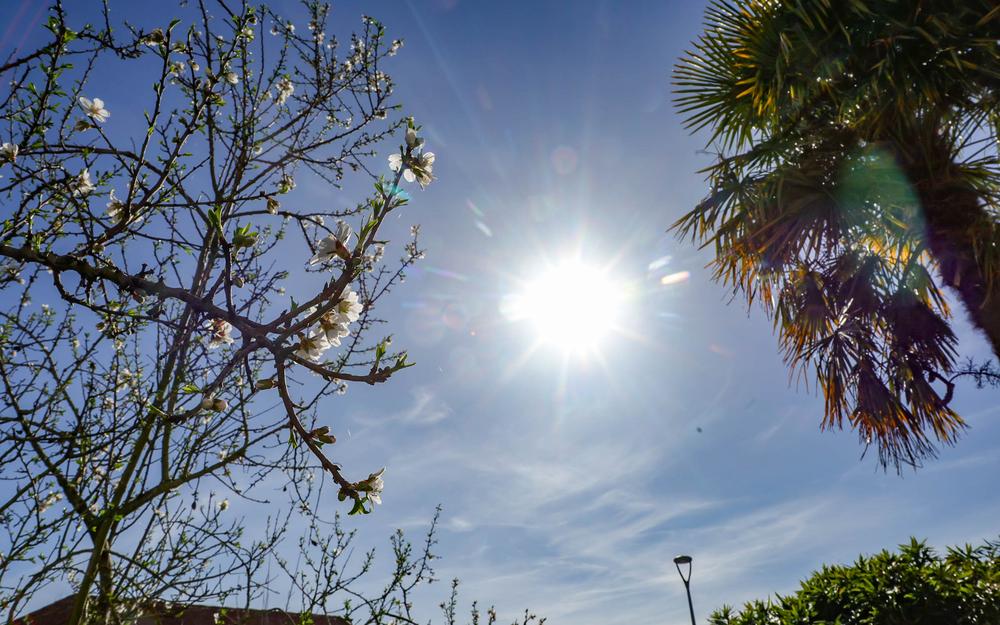 Printemps &agrave; Mulhouse : pourquoi c’est le moment id&eacute;al pour r&eacute;nover sa fa&ccedil;ade ? Kingersheim