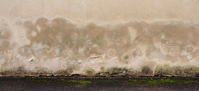 Fa&ccedil;ade humide &agrave; Mulhouse et dans le Sundgau : causes, cons&eacute;quences et solutions Wittenheim